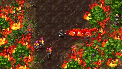 Shakedown Hawaii The Consultant Trailer