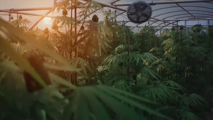 Life is Strange 2 - Episode 3 Coming Soon