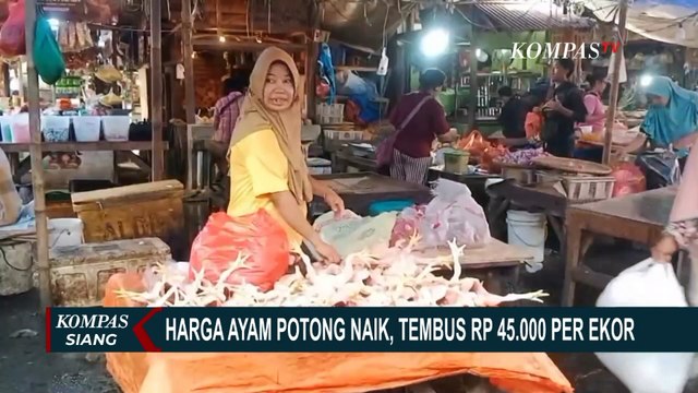 Pedagang dan Pembeli Keluhkan Harga Ayam Potong yang Tembus Rp 45.000 per Ekornya