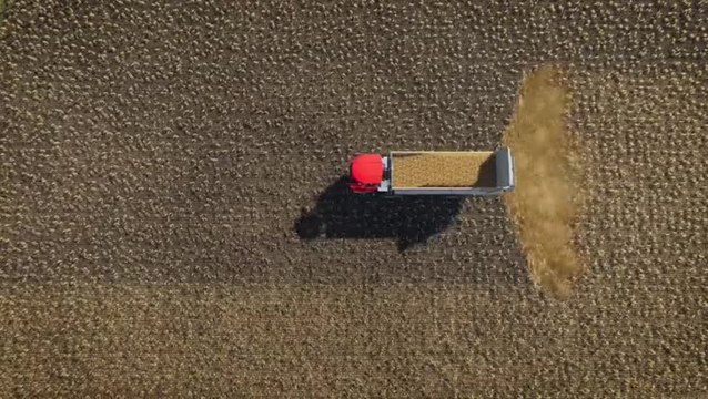 Farming Simulator 2019 : Ajoute du nouveau contenu