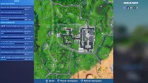 Fortnite : Puce 79