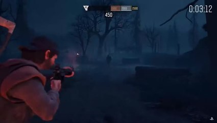 Mise à jour Days Gone