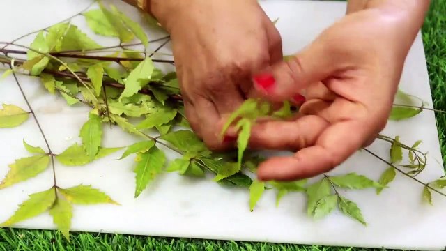 शुगर डायबिटीज़ मधुमेह को जड़ से ख़त्म करें इस एक घरेलू नुस्ख़े से Sugar ka ilaaj / Diabetes