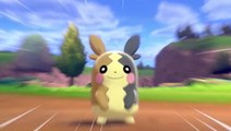 Pokémon Épée / Bouclier : Rivaux, nouvelle Team et forme régionale