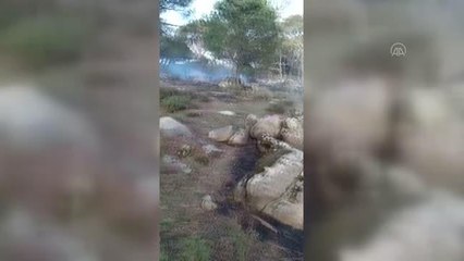 Son dakika haberi | BALIKESİR - Ormanlık alanlarda çıkan 3 yangın kontrol altına alındı