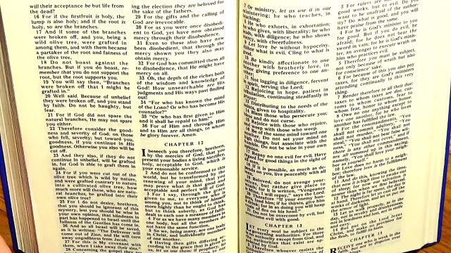 Romans 13, the New Testament, Bible