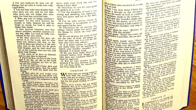 Romans 14, the New Testament, Bible