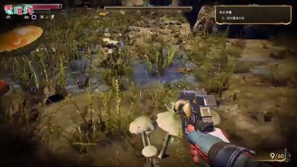 The Outer Wolrds TGS