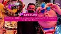 Mask Singer 2022 : découvrez qui se cache derrière le costume du Bernard-l’ermite
