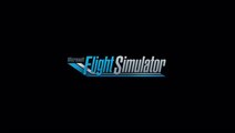 Flight Simulator World Preview 1