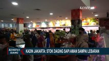 Kadin Jakarta Pastikan Stok Daging Sapi di DKI Jakarta Aman Sampai Hari Raya Idul Fitri Nanti!