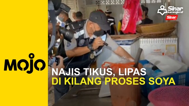 Najis tikus, lipas di kilang proses soya