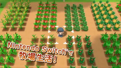 Story of Seasons : Reunion in Mineral Town - GameplayTrailer.mp4