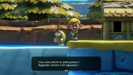 Link's Awakening - Pêche
