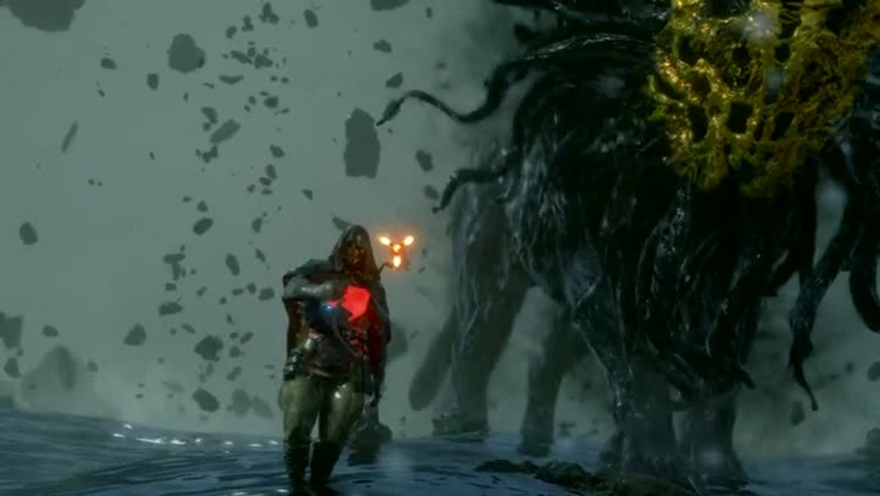 Death Stranding – Épisode 5, commande n°46