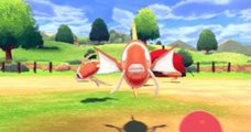 Pokémon Epée / Bouclier : A quoi ça ressemble, un camp de Magicarpe ?