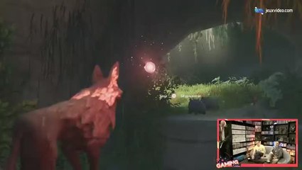 GT : le woombat dans lost ember