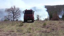 Orman yangınının kontrol altına alındığı bölgede soğutma çalışması sürüyor