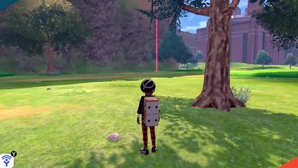 Pokémon Épée / Bouclier : comment "reset" des raids