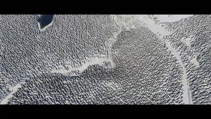 Microsoft Flight Simulator - Let it snow