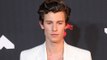 Shawn Mendes reveals the one thing that 'changed' his life