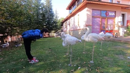 Son dakika haber... Otizmi kabullenemeyen aileler, çocuklarının geleceğini karartabilirler