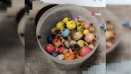 Otelde ölü olarak bulundu: Bakın ne iş yapıyormuş