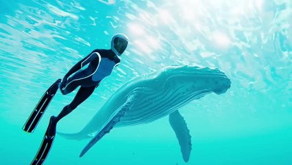 Beyond Blue story trailer