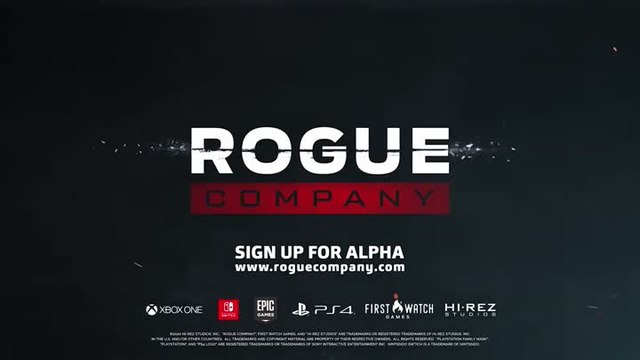 Rogue company
