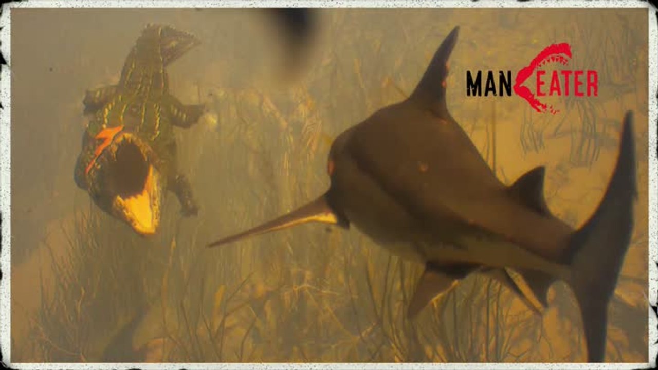Maneater - Alligator