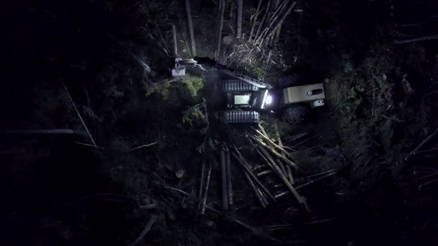 Werewolf : The Apocalypse - Heart of the Forest Teaser Trailer