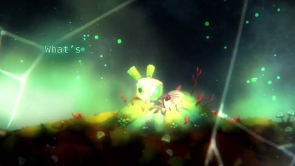 Voix Terrarium : Histoire