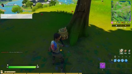 Pour les ours, notre guide complet