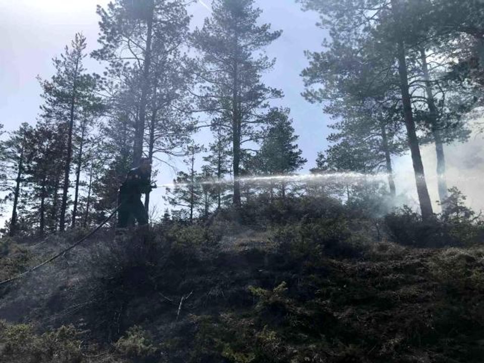 Kastamonu'da orman yangını... Polis ekiplerinin dikkati sayesinde büyümeden söndürüldü