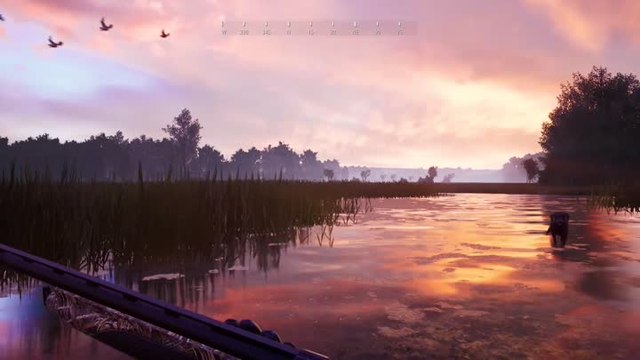 Hunting Simulator 2 nous dévoile ses chiens de chasse