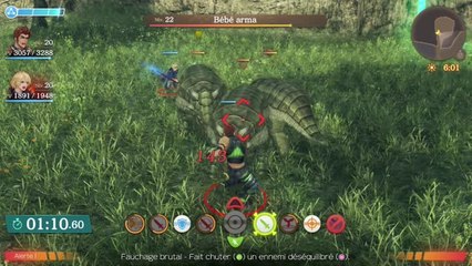 Xenoblade Chronicles DE - Premiers gibiers Fixe