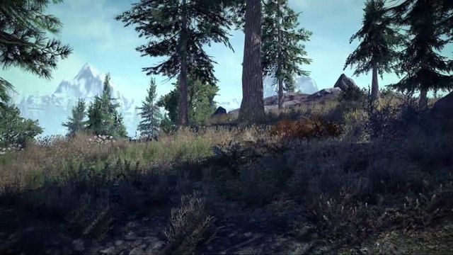 The Elder Scrolls Online : Greymoor s'offre un trailer de lancement