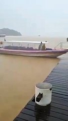 Mar de Vila Abraão, em Ilha Grande, Angra dos Reis, muda de cor após terra atingir água