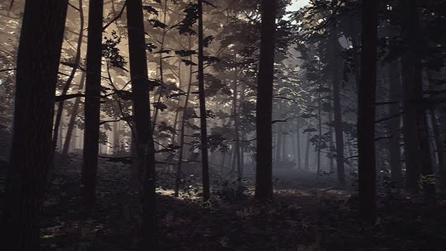 Blair Witch : une version Switch techniquement décevante
