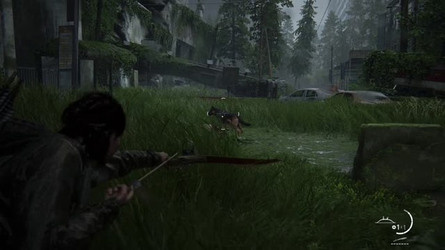 The Last of Us Part II – Affrontement : rue inondée