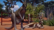 Planet Zoo : le pack Australie dévoile son trailer de lancement