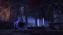 The Elder Scrolls Online : Stonethorn - Trailer de gameplay