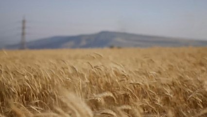 تحذيرات متزايدة من تداعيات حرب أوكرانيا على الاقتصاد العالمي