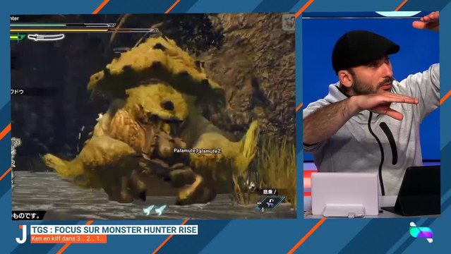 LE JOURNAL: Monster Hunter Rise