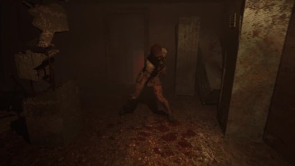 Roots of Insanity Remake Announcement