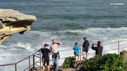 شاهد: أمواج ضخمة تجتاح أحد شواطئ سيدني وتصل إلى المنازل