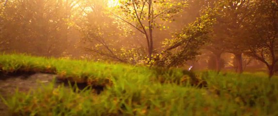 Lands of Raynar - Annonce