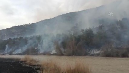 Kargı'da çıkan orman yangını söndürülmeye çalışılıyor