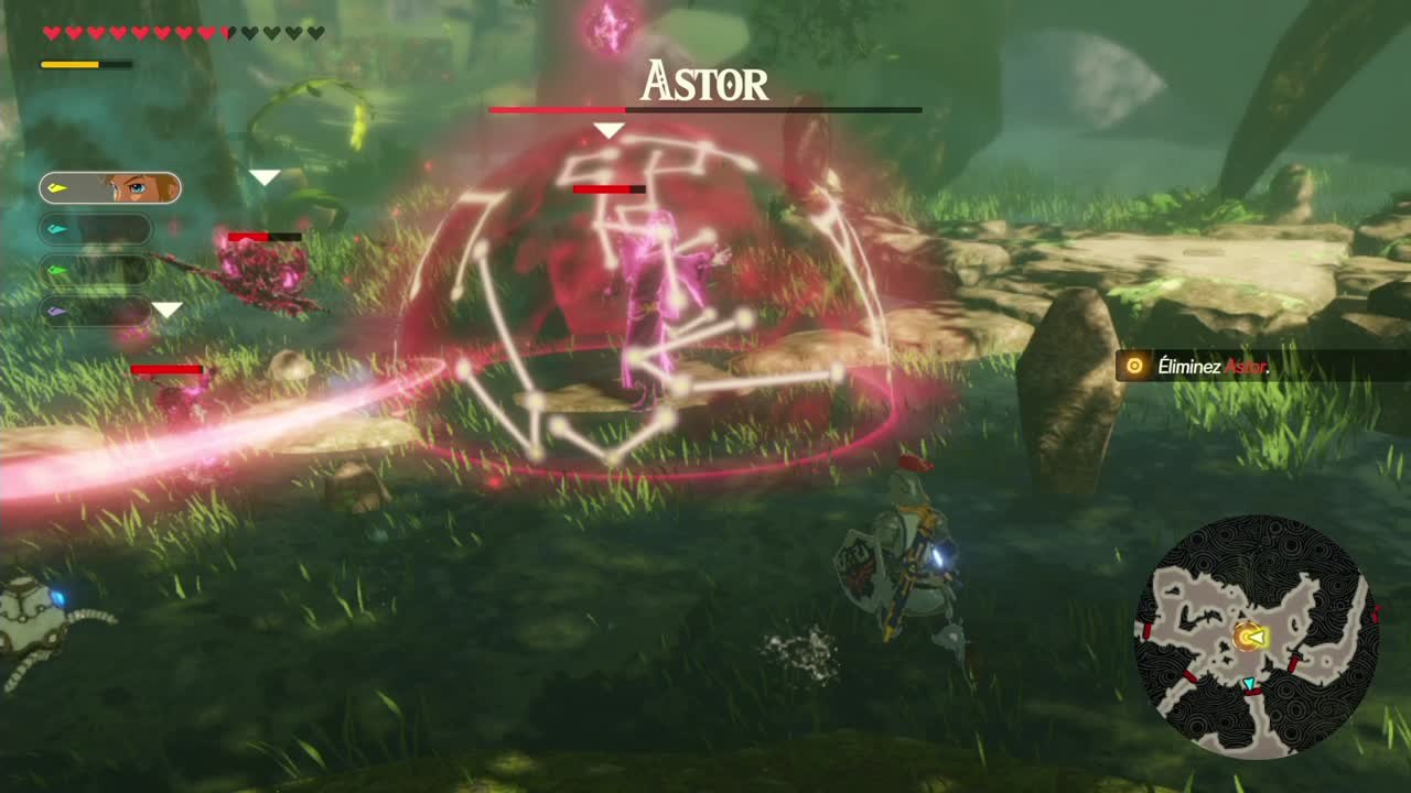 Hyrule Warriors : L'Ère du Fléau - Astor
