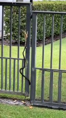 नाकामयाबी से लड़ते रहो, गिरने के बावजूद हर बार उठते रहो, बार-बार प्रयास करते रहो और कभी हिम्मत मत हारो ।”